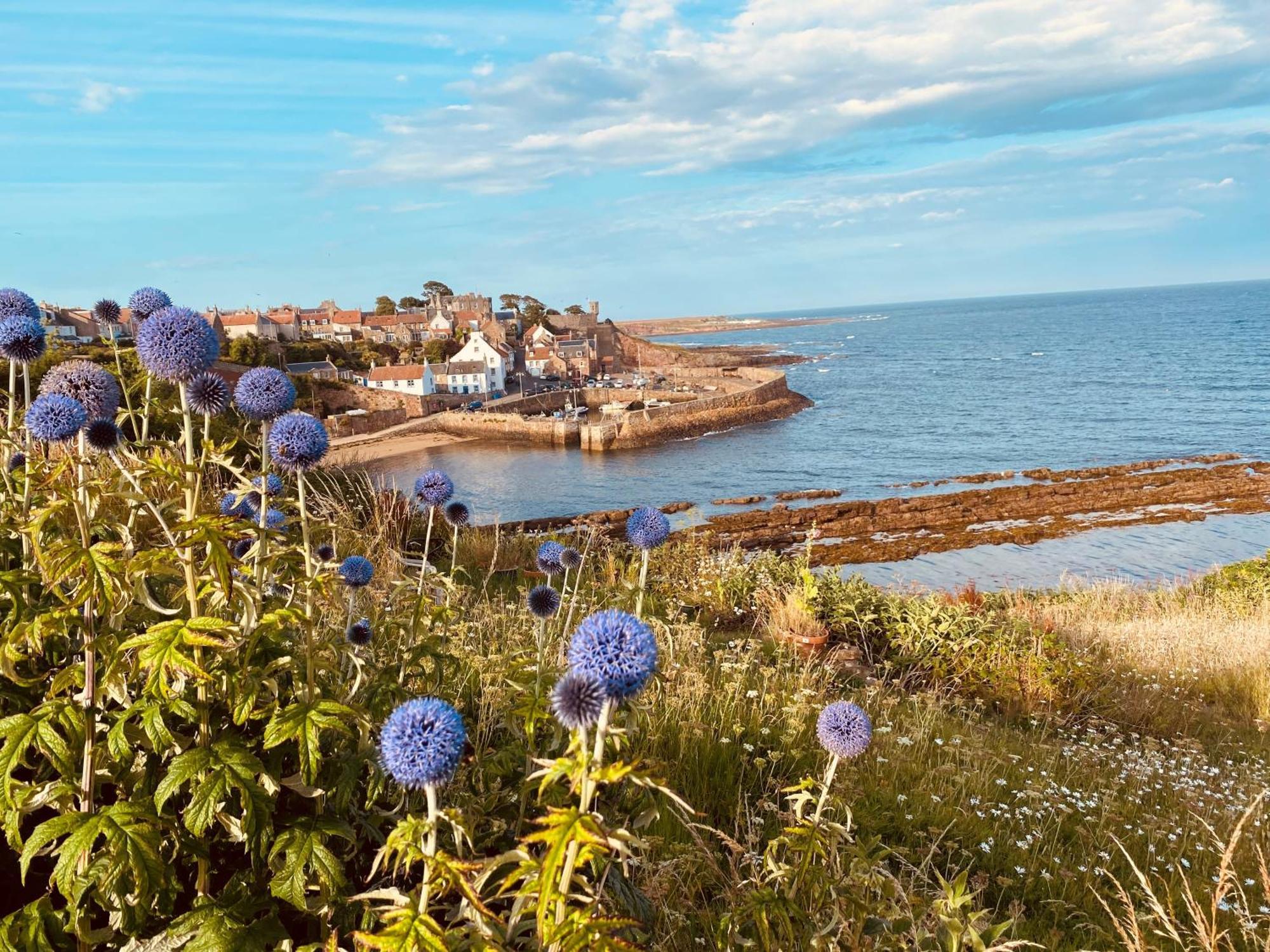 Seagull'S Rest Apartment Crail Exterior photo